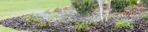 Water Restrictions