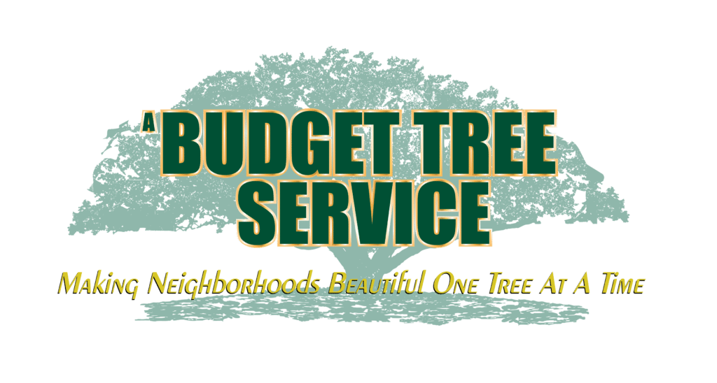 Budget Tree Service Logo