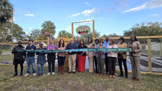The Georgetown Community Garden