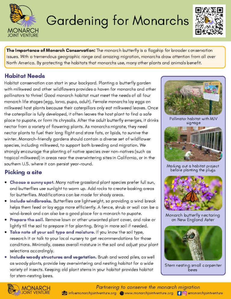 Gardening For Monarchs Flier, Page 1.
