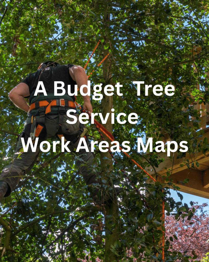 Neighborhood Tree Trimming Schedule: Summer 2026