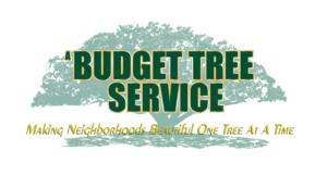A Budget Tree Service Logo